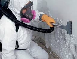 Why You Should Choose Our Mold Remediation Services in Idabel, OK